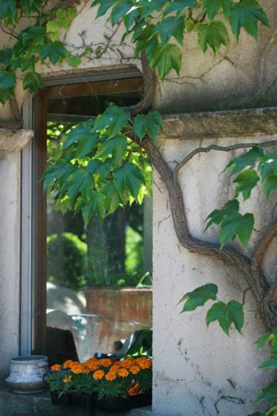 Bed and Breakfast Mas de L'Ermitage Lattes Exterior foto